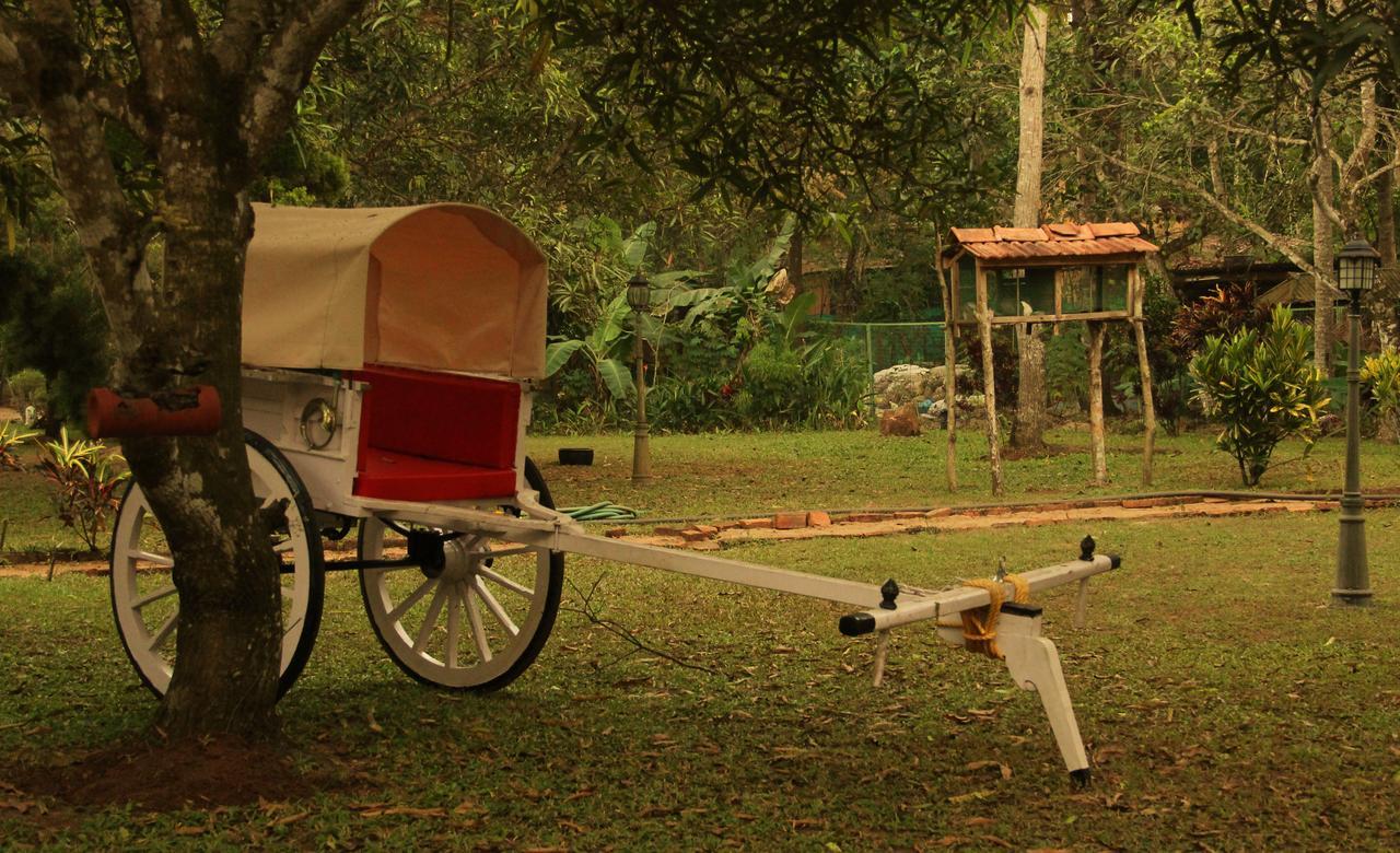 Palathra Heritage Mararikulam Esterno foto