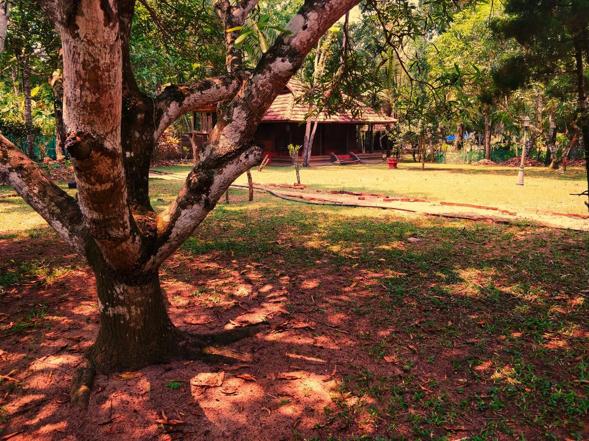 Palathra Heritage Mararikulam Esterno foto
