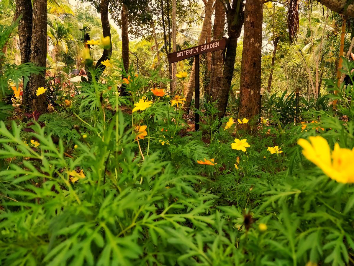 Palathra Heritage Mararikulam Esterno foto