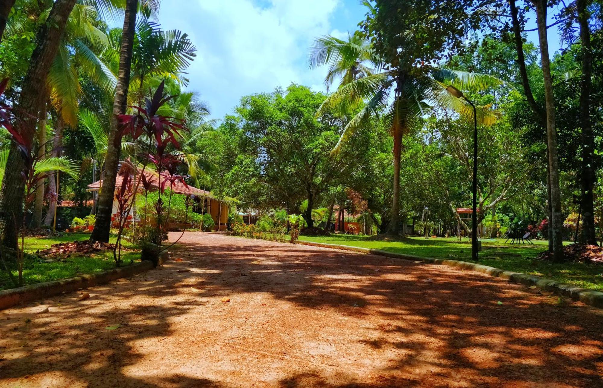 Palathra Heritage Mararikulam Esterno foto