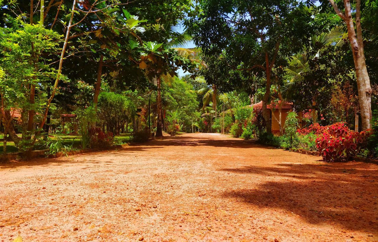 Palathra Heritage Mararikulam Esterno foto