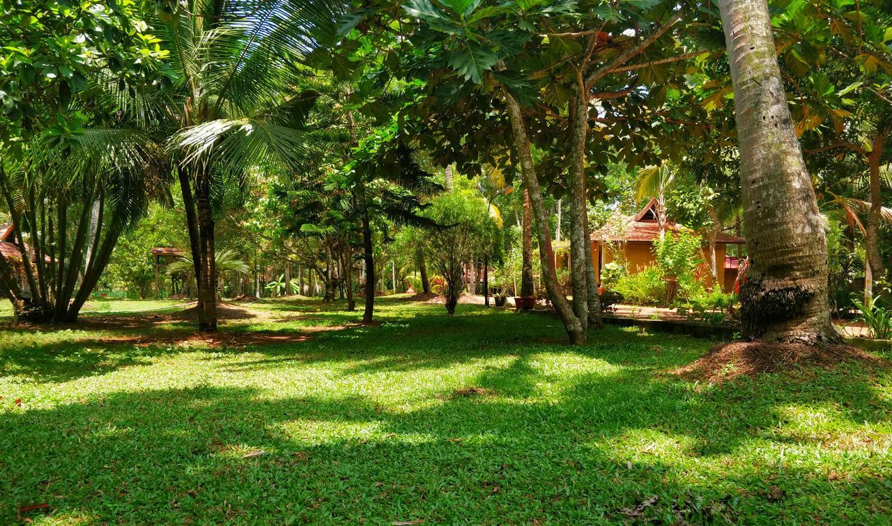 Palathra Heritage Mararikulam Esterno foto